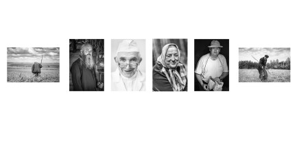 Dominika Koszowska, Dzikie oregano, 2015-2017